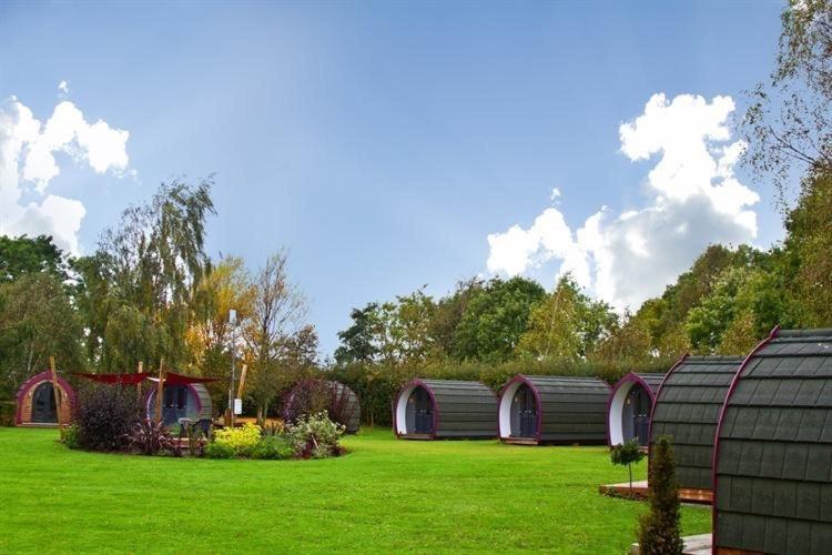 Belle Vista Glamping & Camping York Zewnętrze zdjęcie
